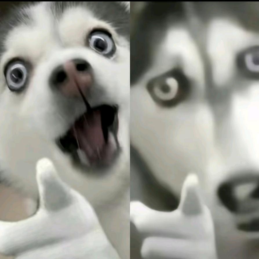以后咯