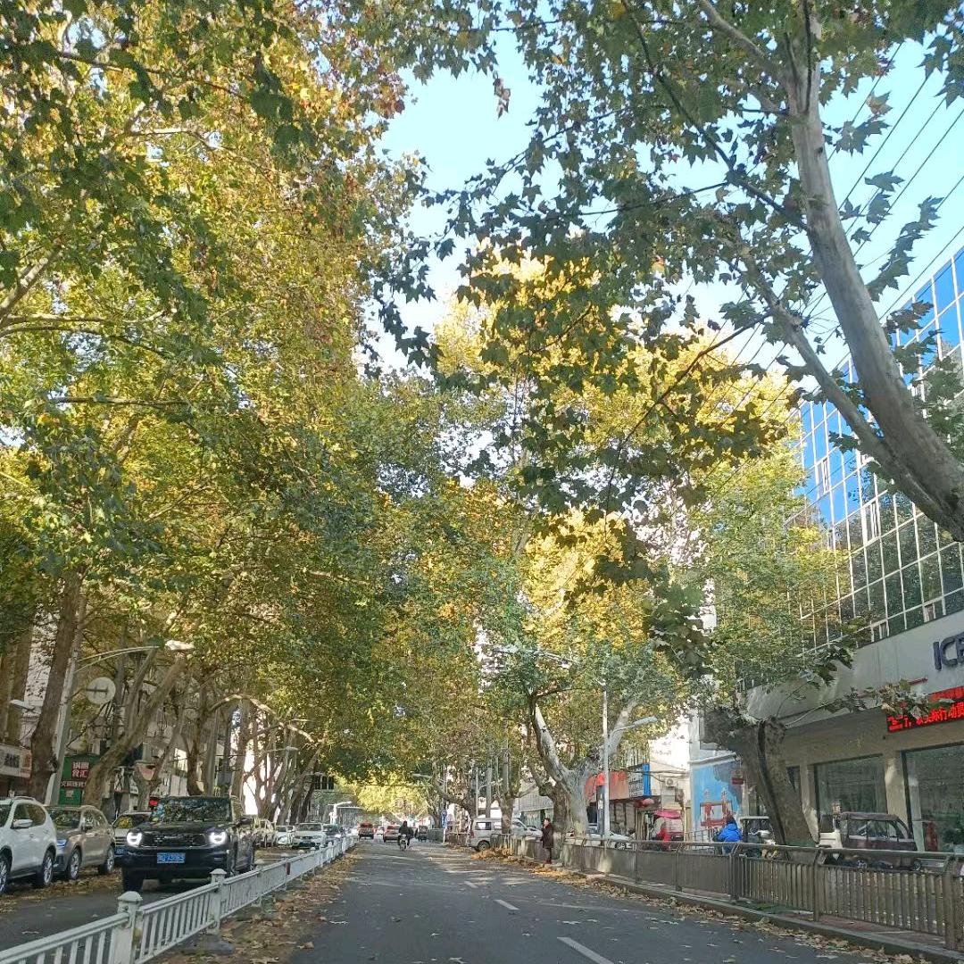 一点点温柔