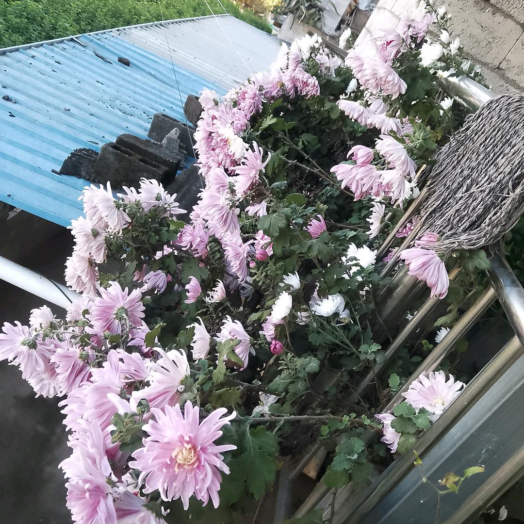 从新做回我自己