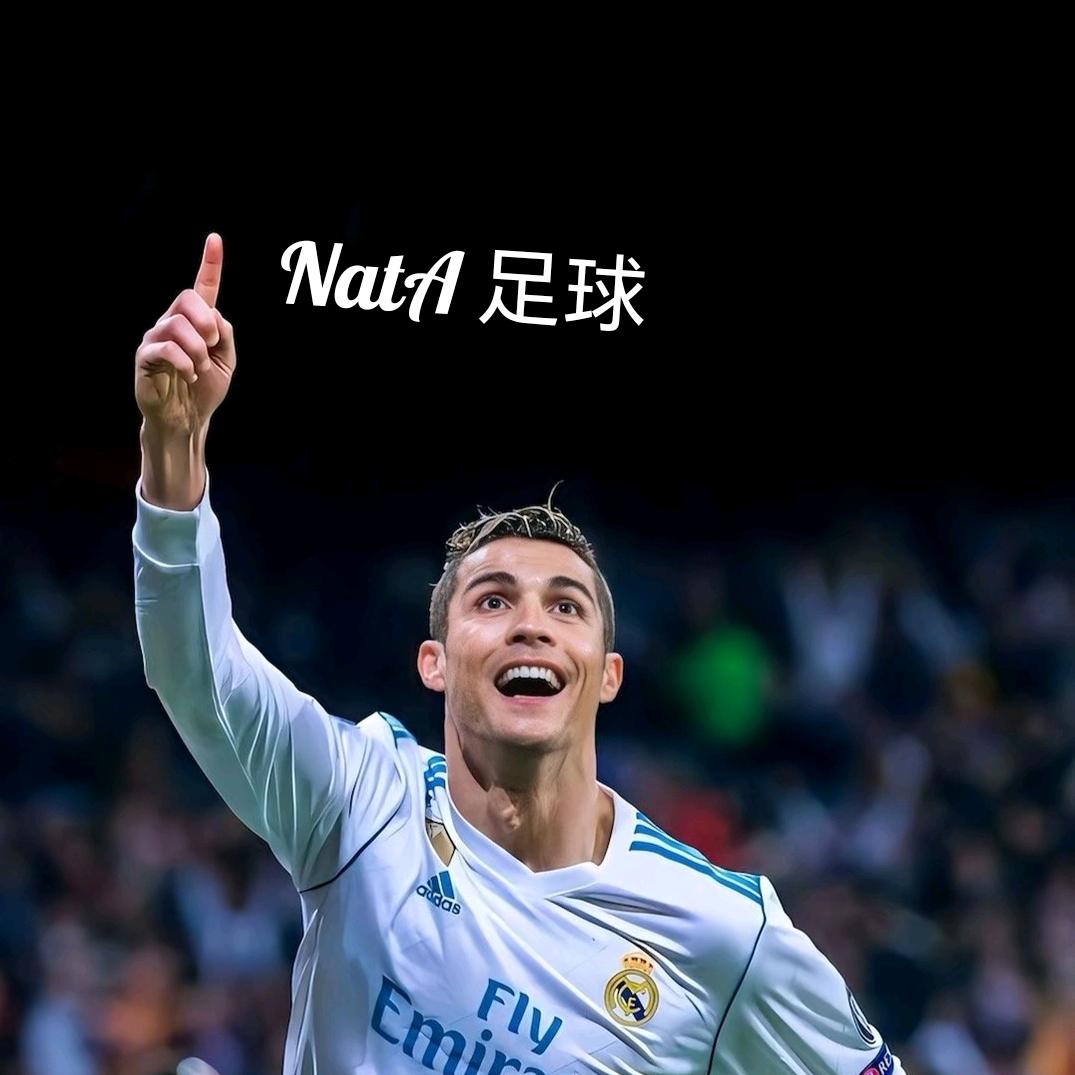 NatA足球