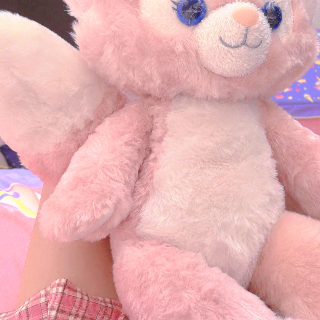 睡不饱的小狐狸