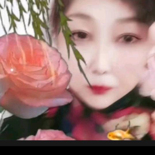 🌹鱼多多🌹