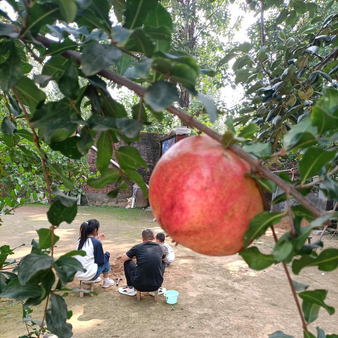 锦鲤❤️❤️向💰