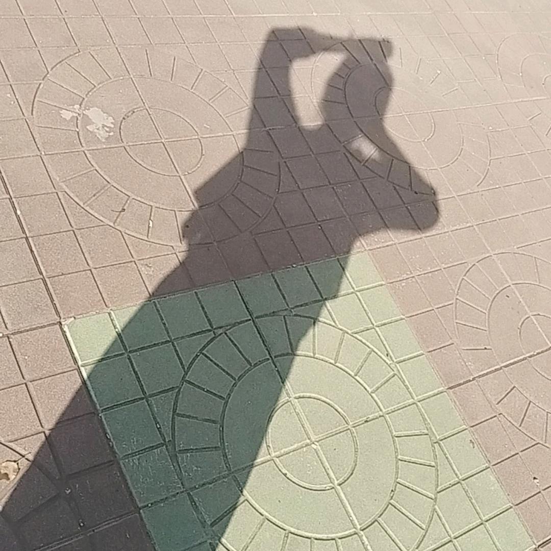 月色撩人