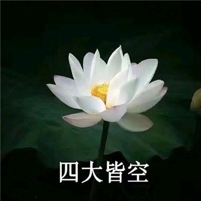 爨圌🍱