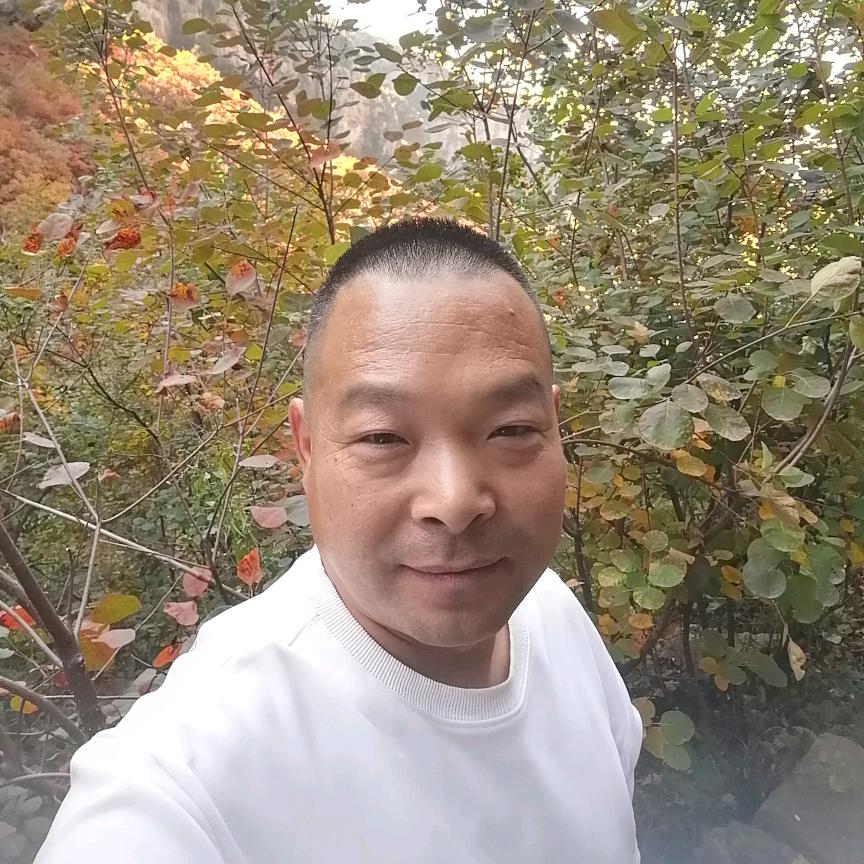 兴龙