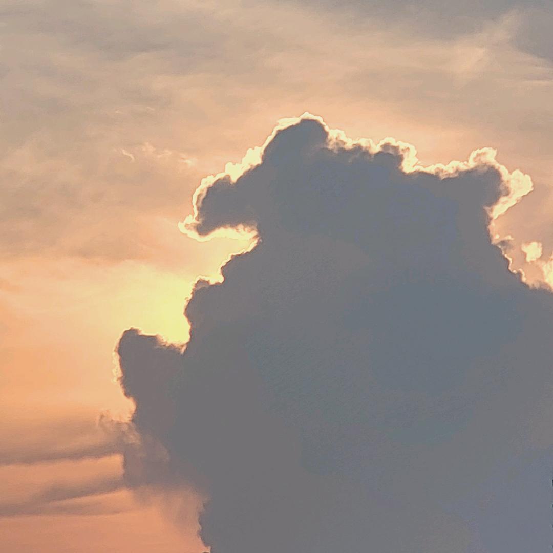 成年人的世界没有容易