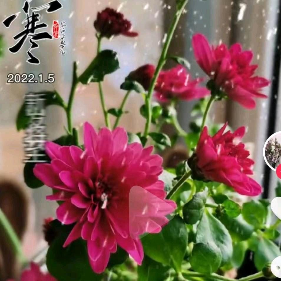 涵琳