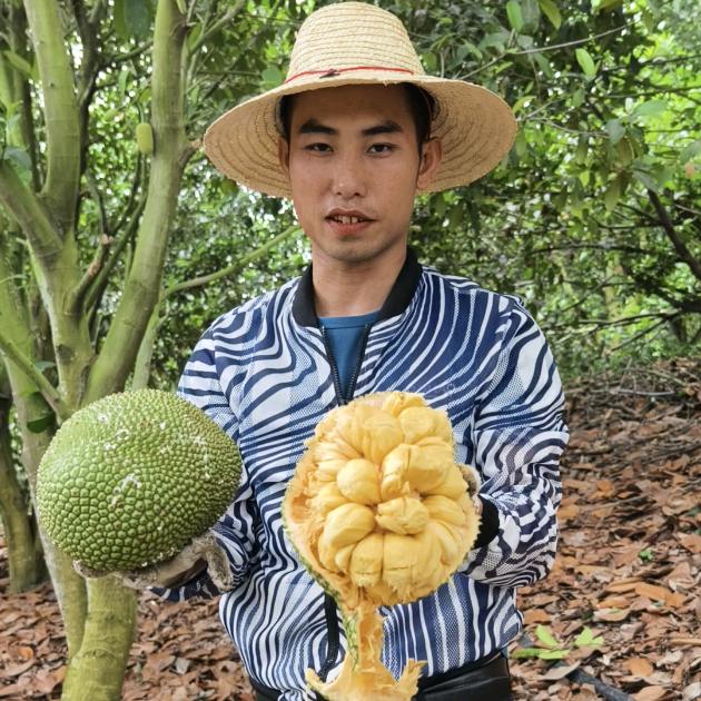亚伟榴莲蜜