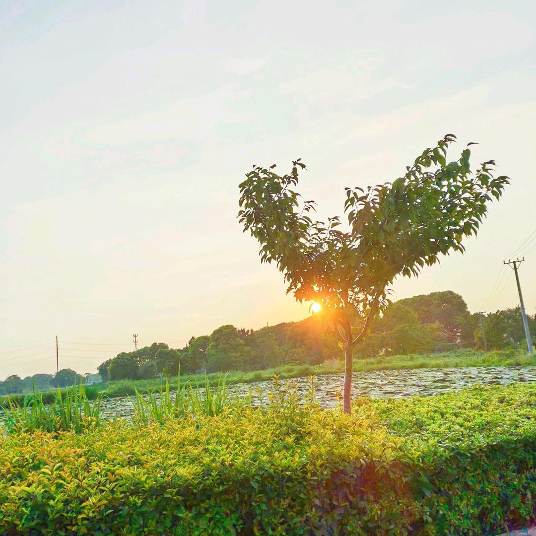 ঞৣঁপ᪲最꫞初꧂
