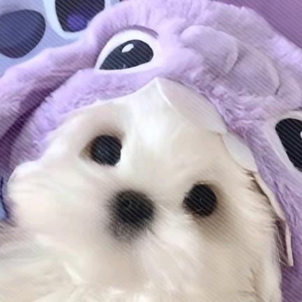 昕昕醒不醒（不上岸不改名版）