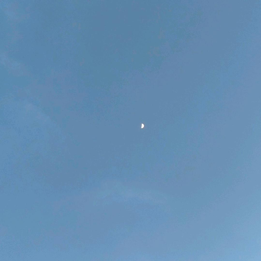 小生不才
