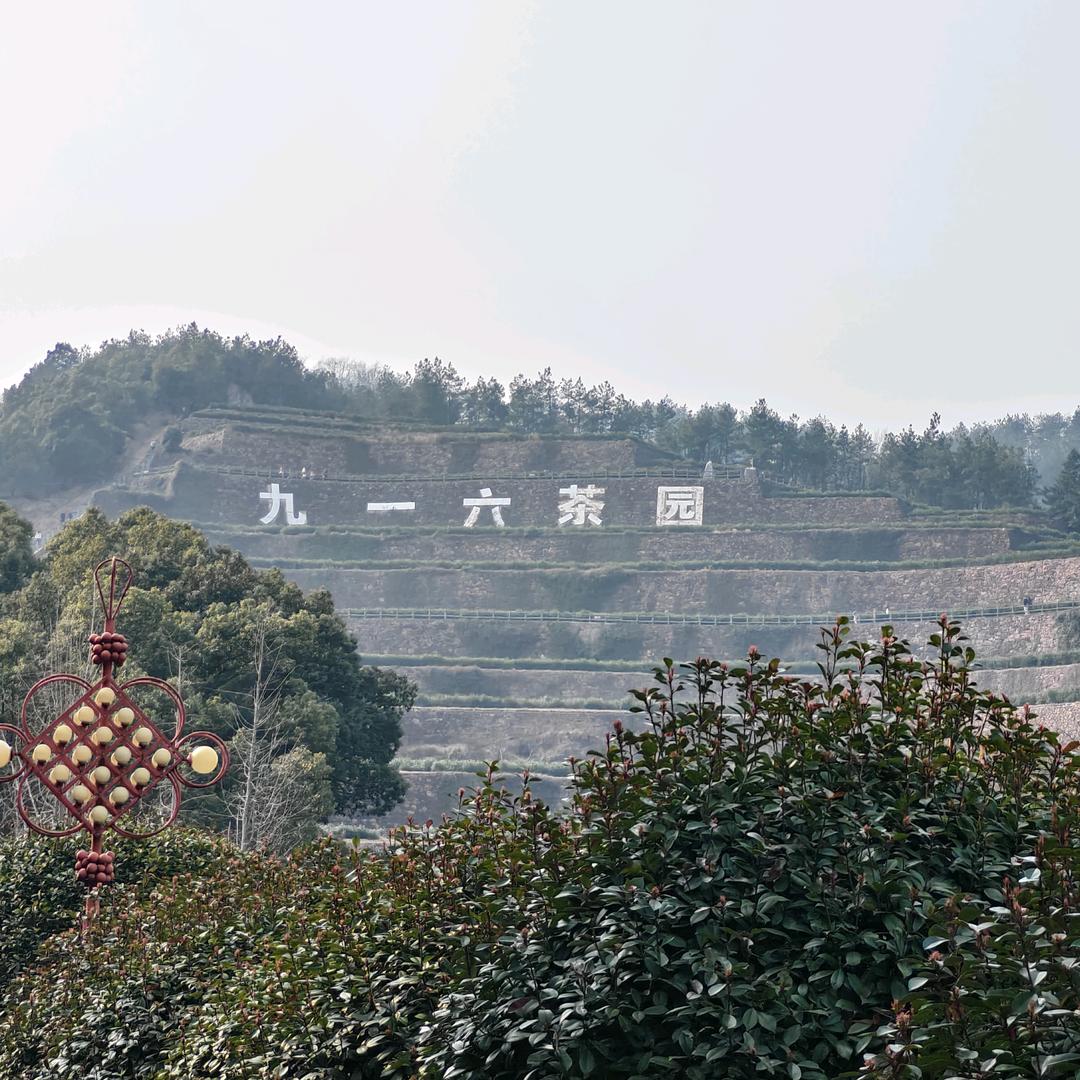 期待每一天