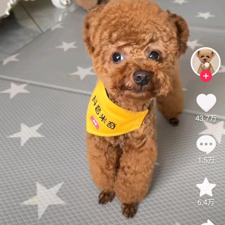 💞᭄ꦿℒℴѵℯ 遇ꦿ꯭見💞᭄ꦿℒℴ