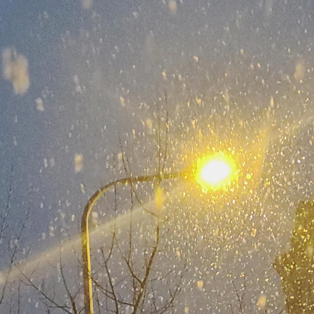 灵活的小胖子上学记