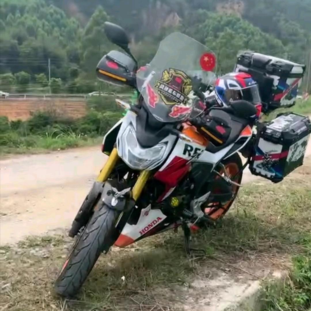 无悔的爱