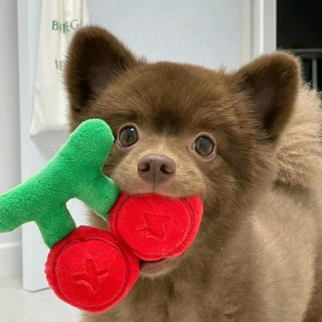 大丸子🍒