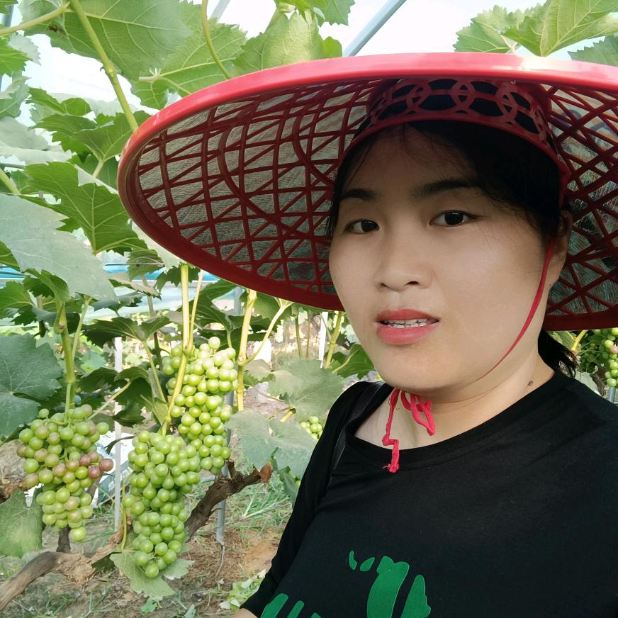 草帽姐讲种植