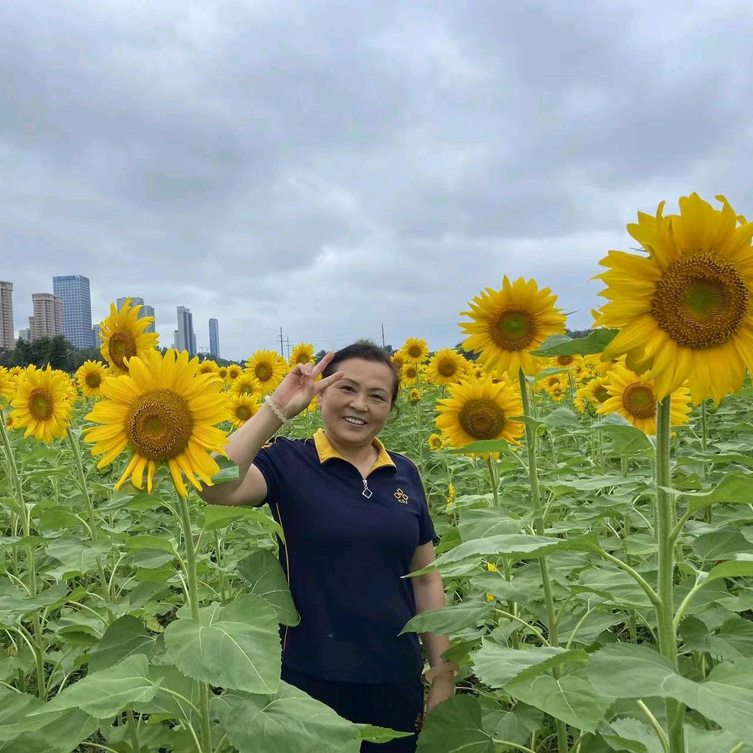 美玲姐