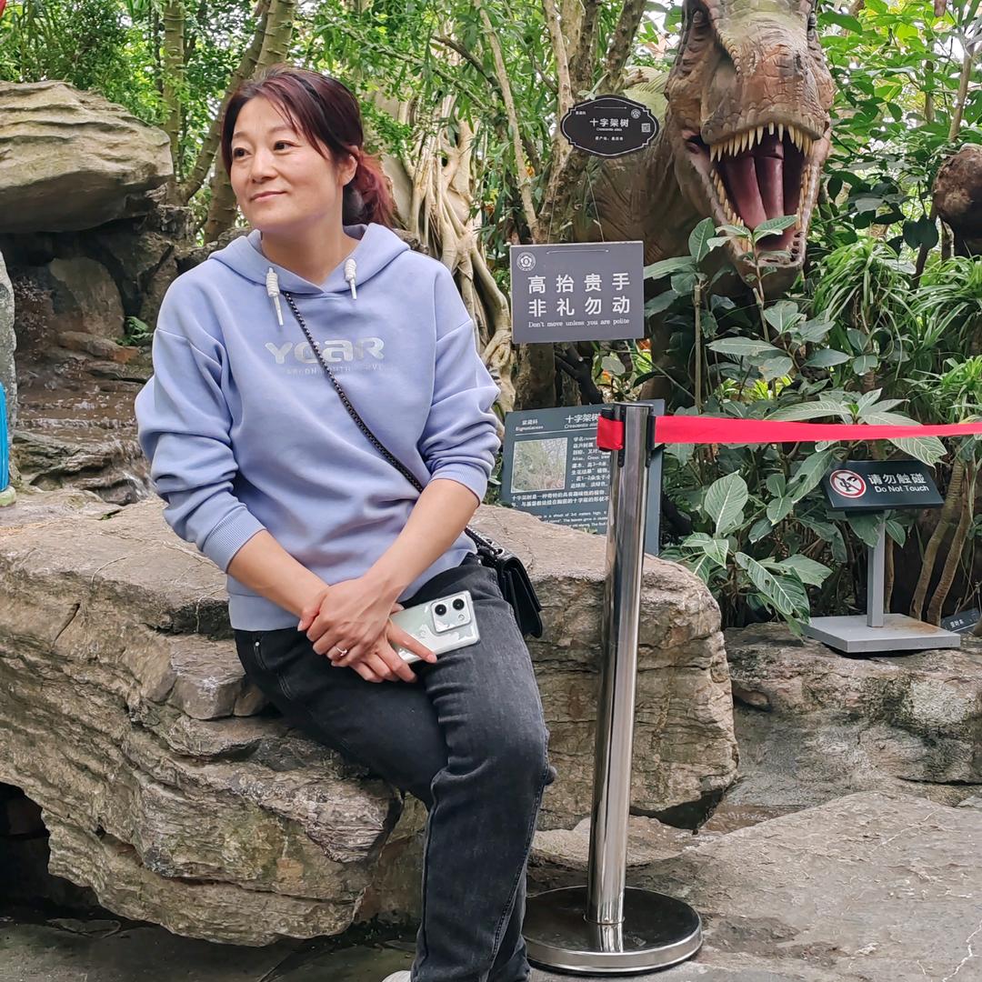 卖右玉羊肉的燕子