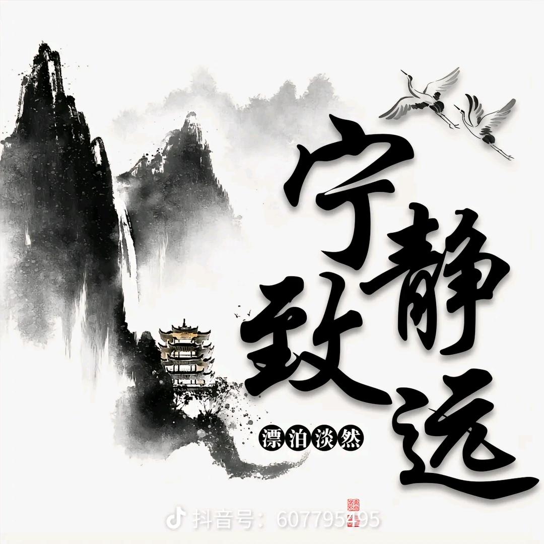 @涛 哥@
