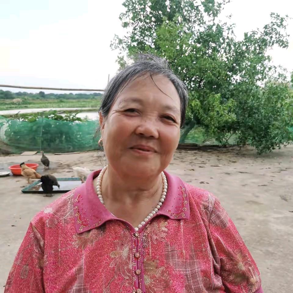 模