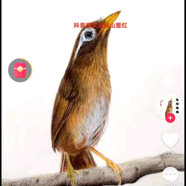 用户1443136537645
