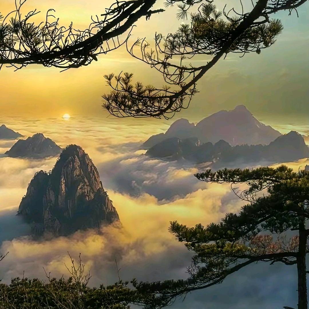 沪广线上☞揉半挂