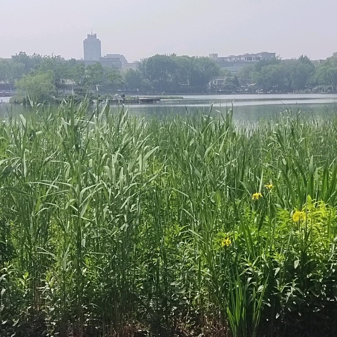 ༺ཌༀཉི情༒殤༃ༀད༻