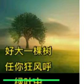 发发发。