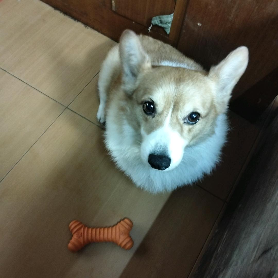 老许