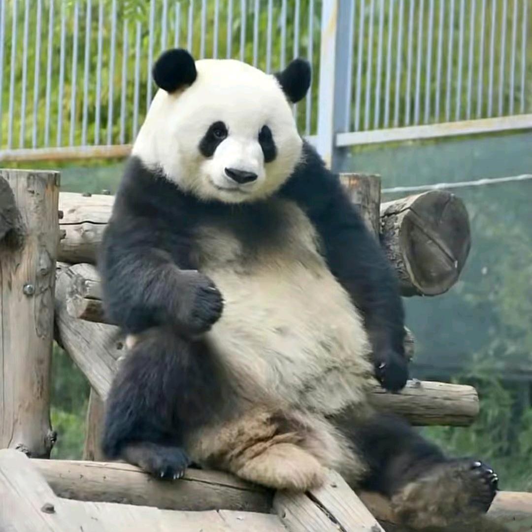 平安是福ting🍀