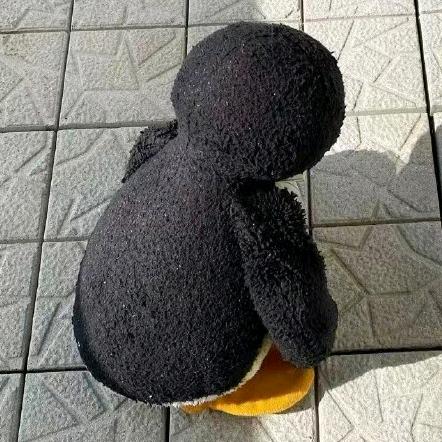 泽的饿了