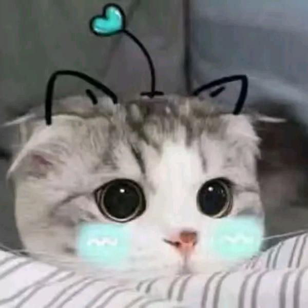 凌玉尘