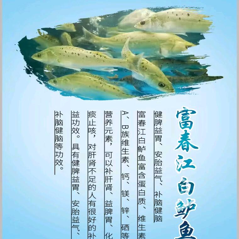 小华野生鱼(水产经营门店 学田路81号