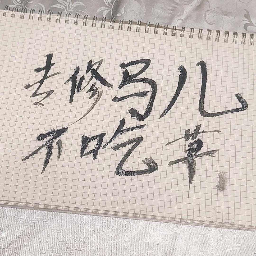 修斑鸠