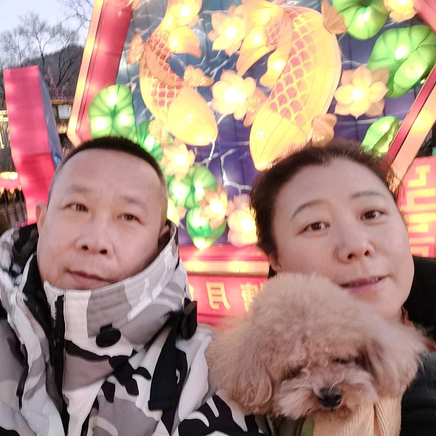 刚子爱旅游