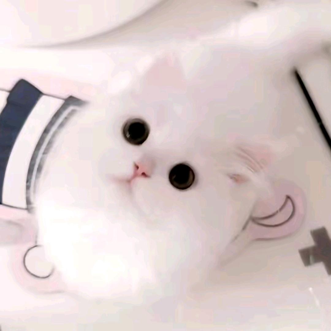 我一直哭