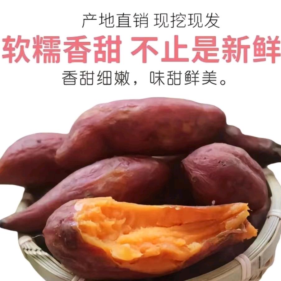 农产品基地直发