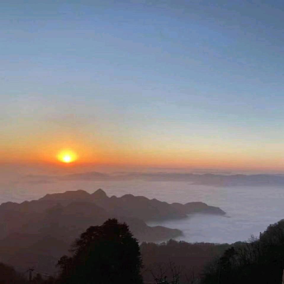 老张架子管批发