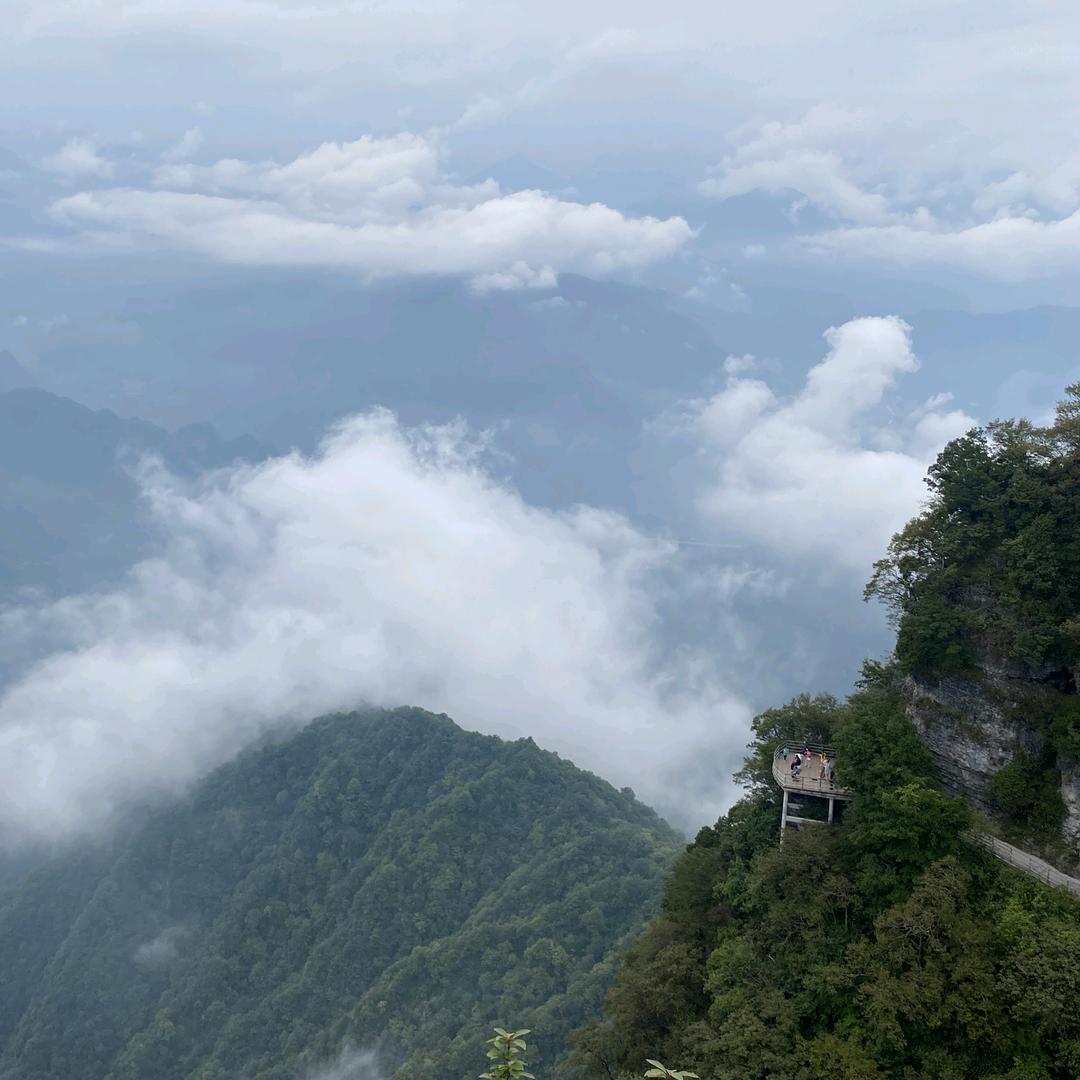 心雨娱乐