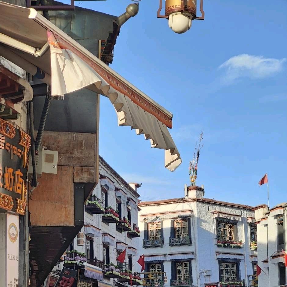 我就说你是我的菜