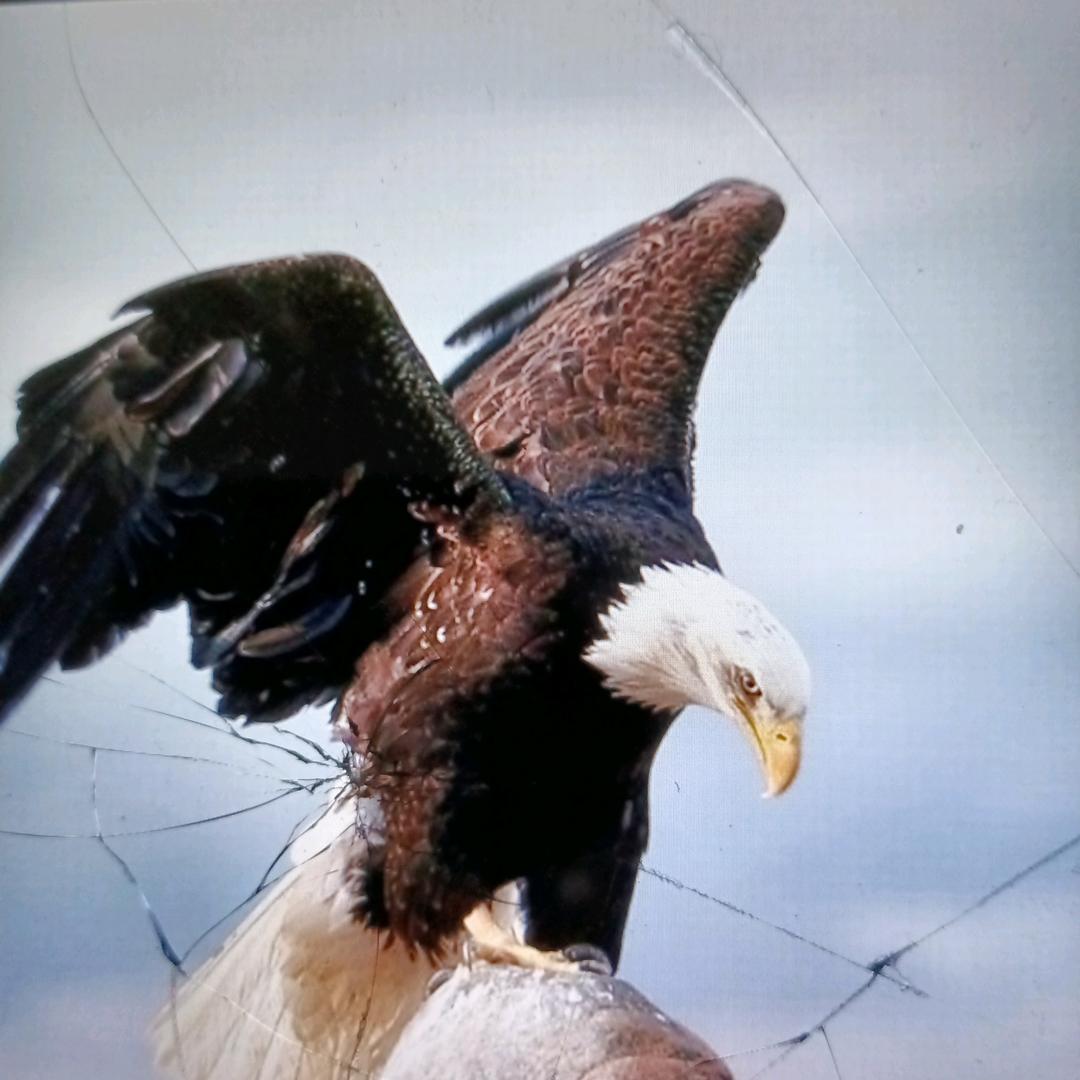 我若成魔，佛耐我何。