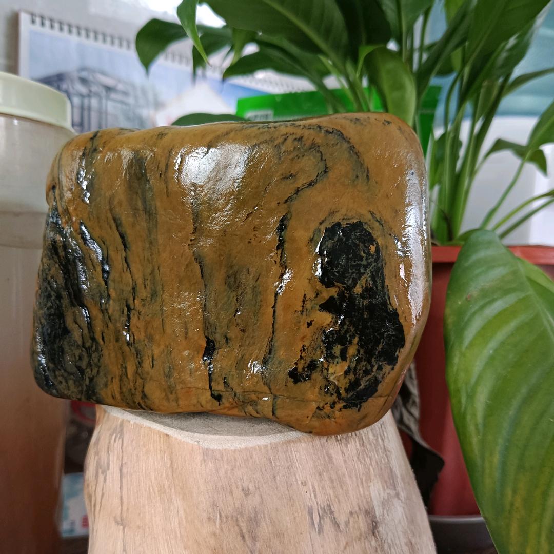蜡石的春天