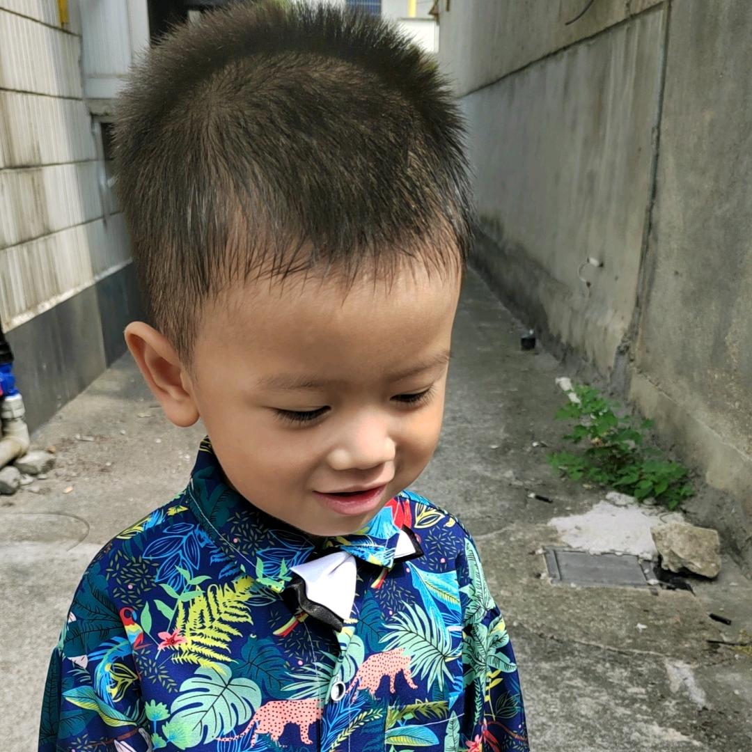 通城县文山三七天麻批发零售