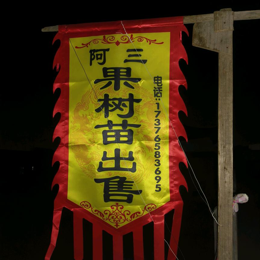 三哥采摘园