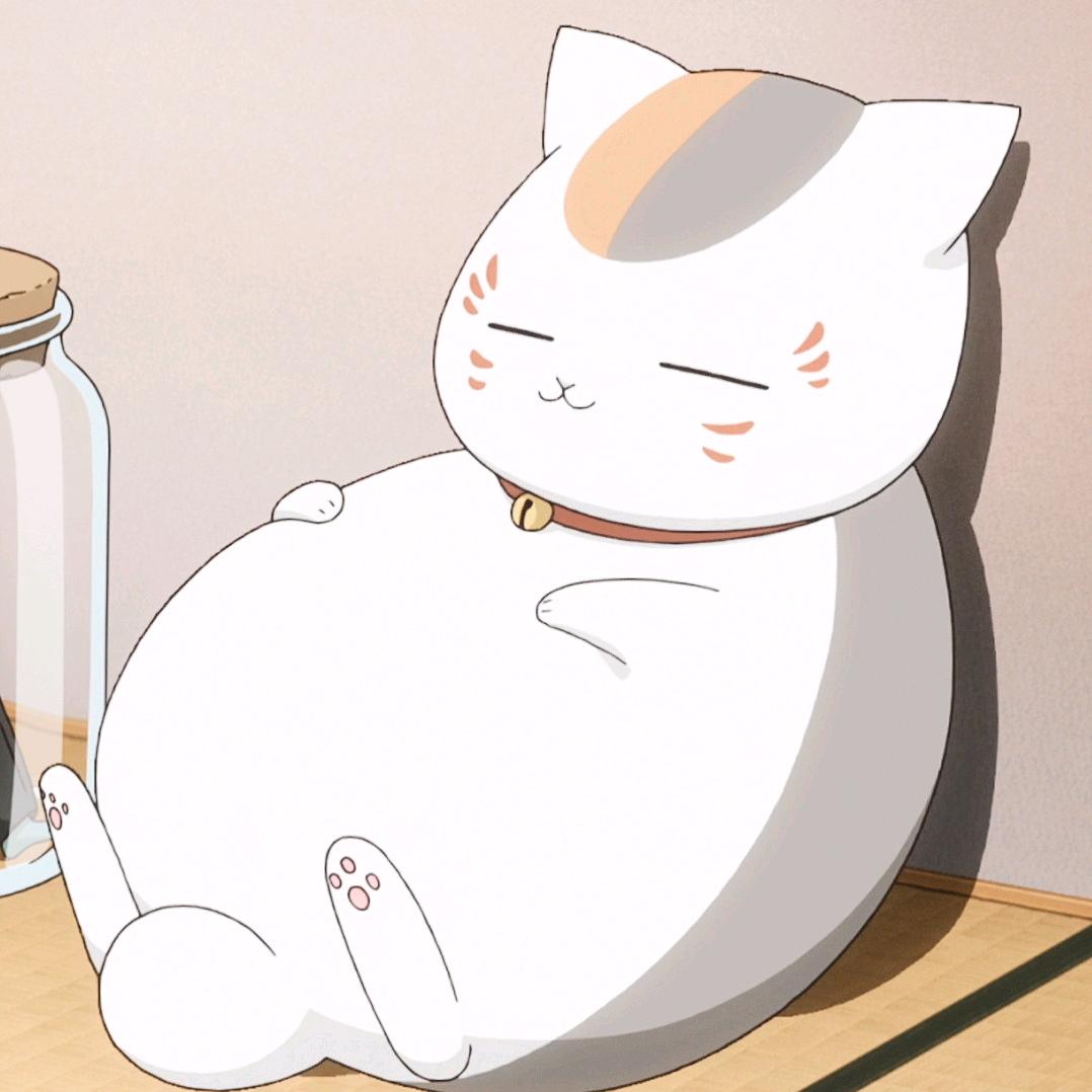 猫老师