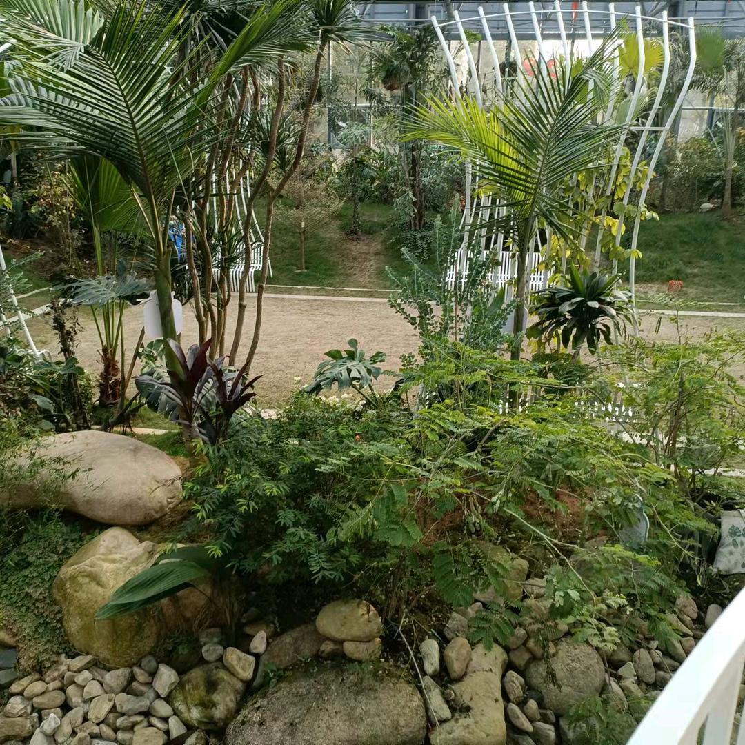 人生就是一个过客