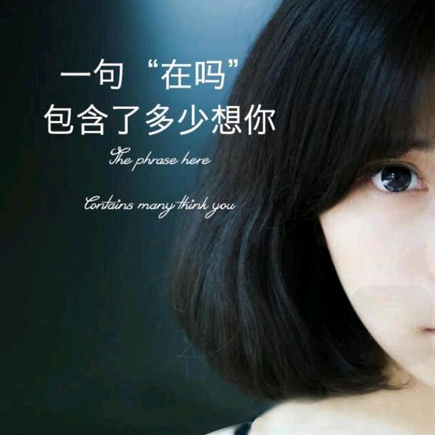 ！常年零售牛羊肉