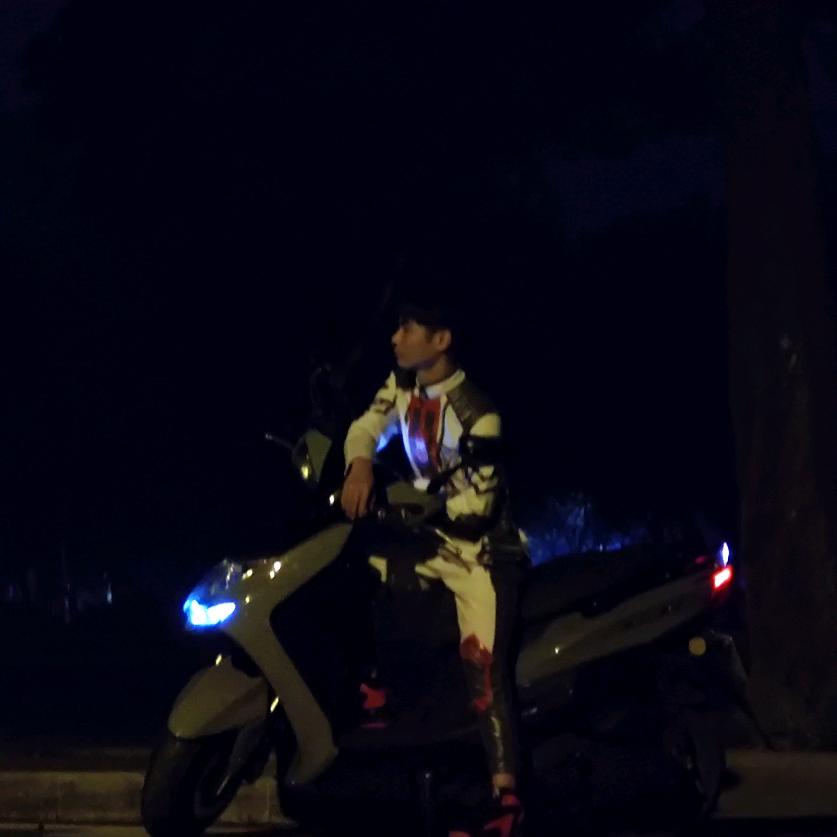 满哥到来